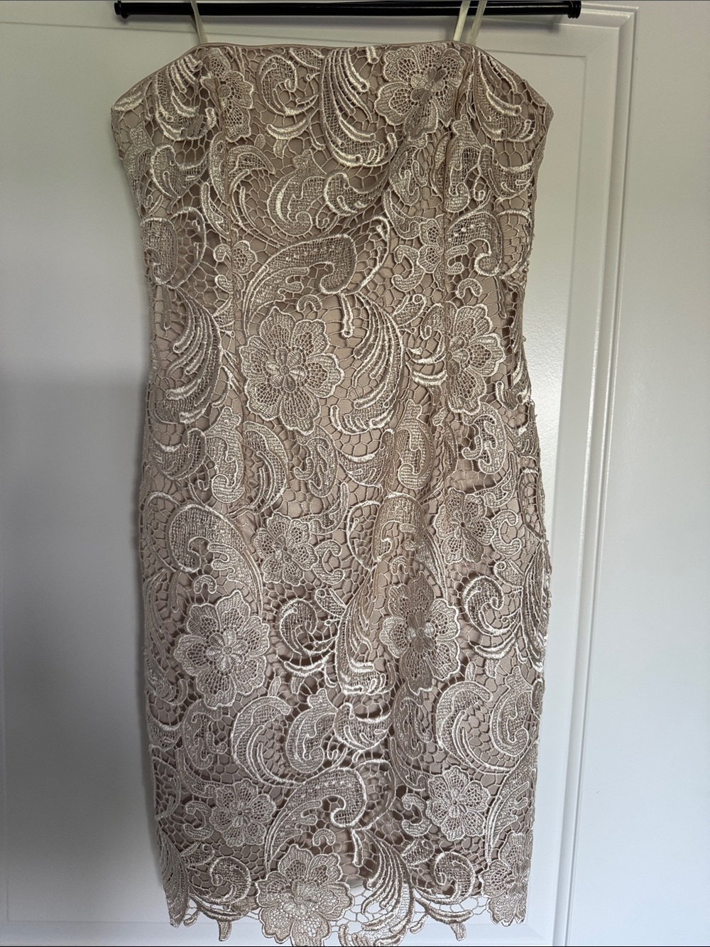 Adrianna Papell Strapless Lace Sheath Dress in Beige